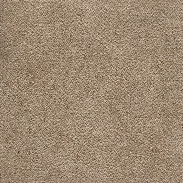 TBK08 · Cappuccino