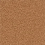 TRP08 · Biscotto