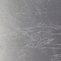 F02 · foglia argento