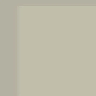 362 Platino
